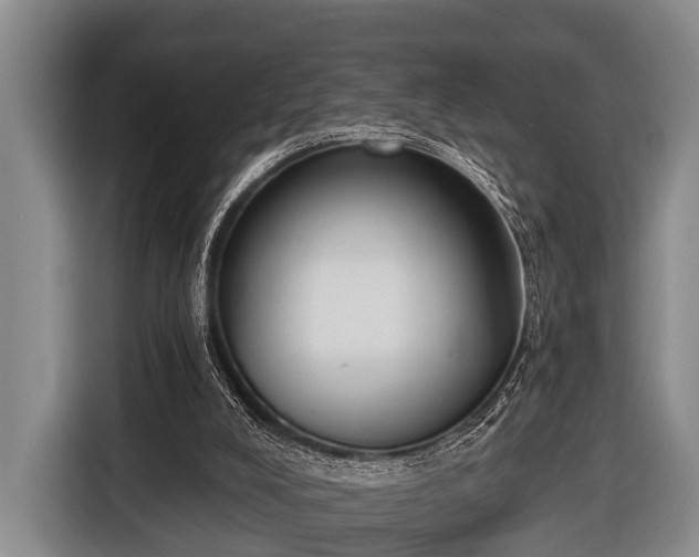 X0000116850008200912291249