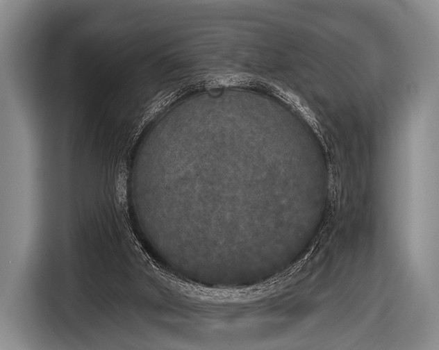 X0000116850010200912291249
