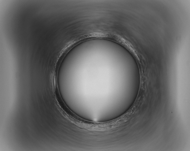 X0000116850011200912291249