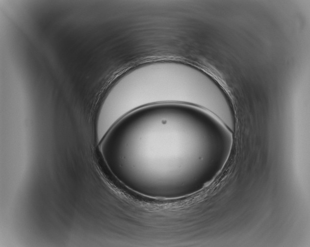 X0000116850013200912291249