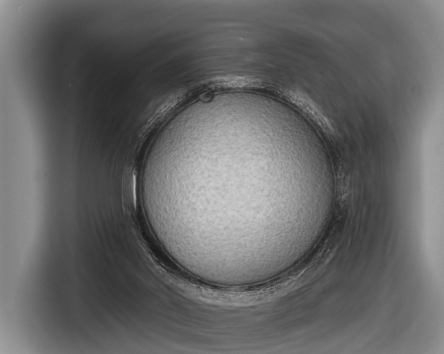 X0000116850014200912291249