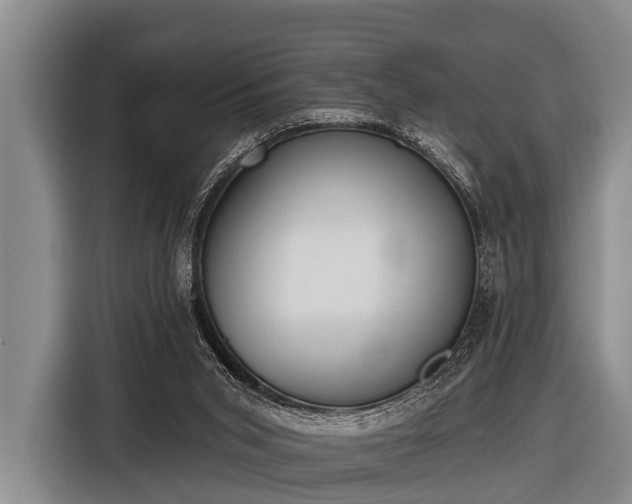 X0000116850015200912291249
