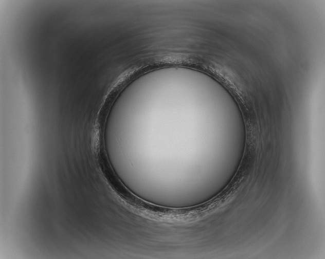 X0000116850016200912291249