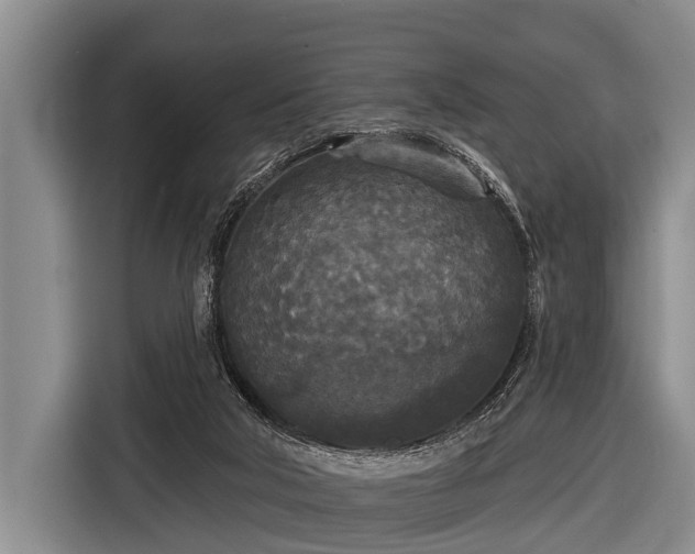 X0000116850018200912291249