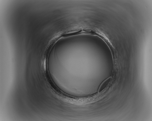 X0000116850019200912291249