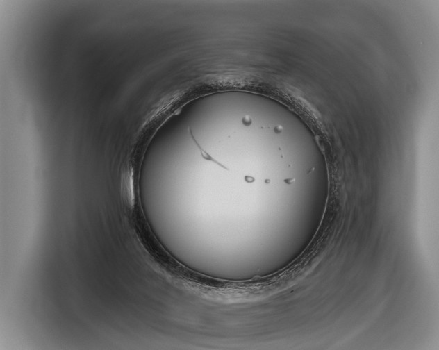 X0000116850020200912291249