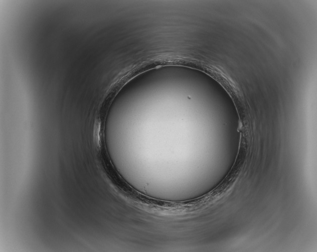 X0000116850024200912291249