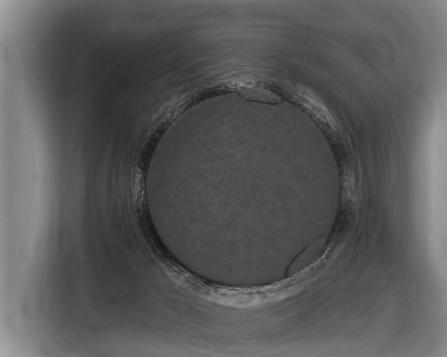 X0000116850029200912291249