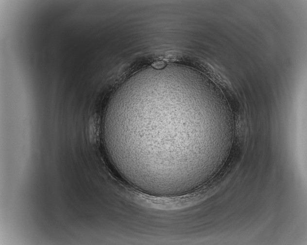 X0000116850030200912291249