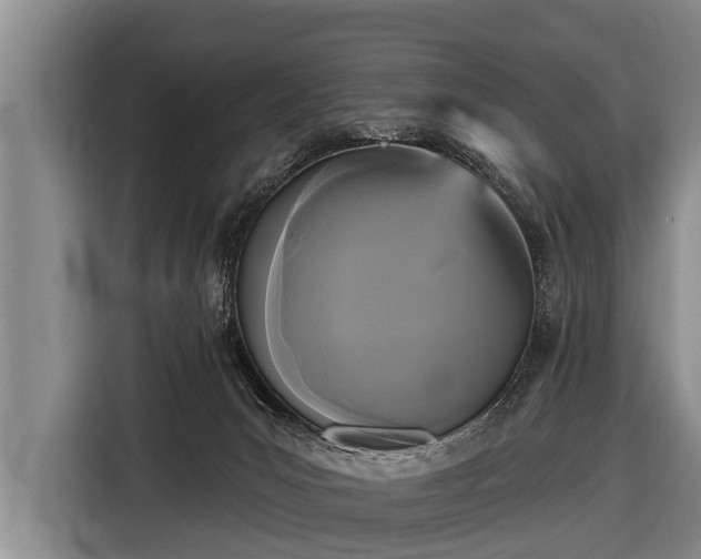 X0000116850031200912291249