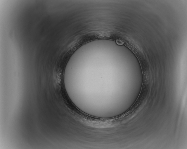 X0000116850032200912291249