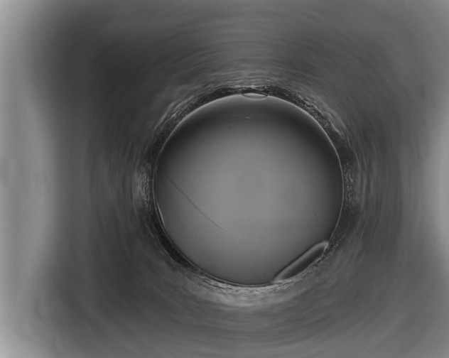 X0000116850035200912291249
