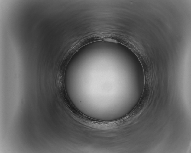X0000116850036200912291249