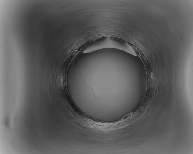 X0000116850039200912291249