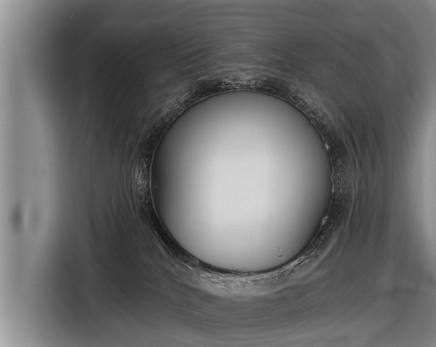 X0000116850040200912291249