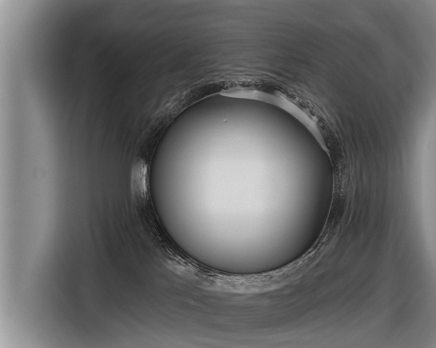 X0000116850041200912291249