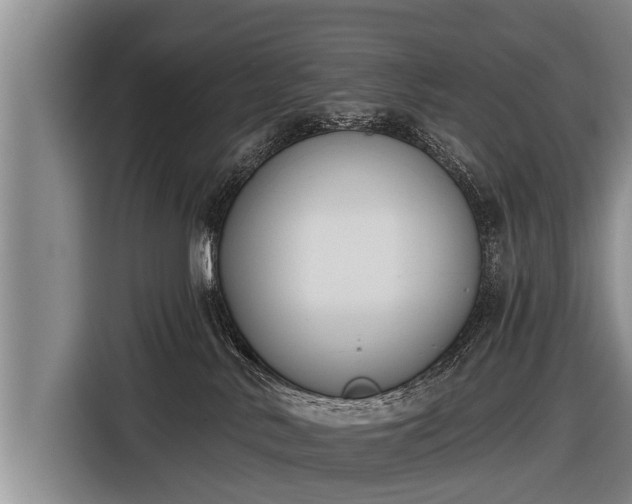 X0000116850042200912291249