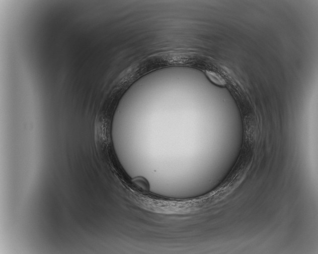 X0000116850044200912291249