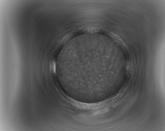 X0000116850046200912291249