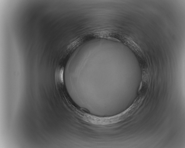 X0000116850047200912291248