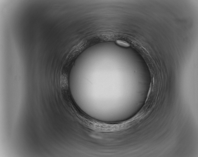 X0000116850048200912291248