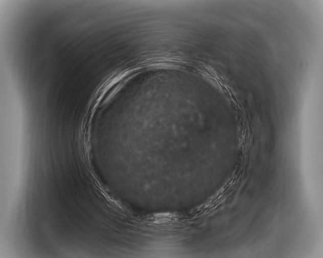 X0000116850050200912291248