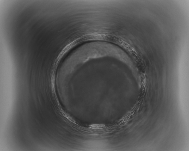 X0000116850051200912291248