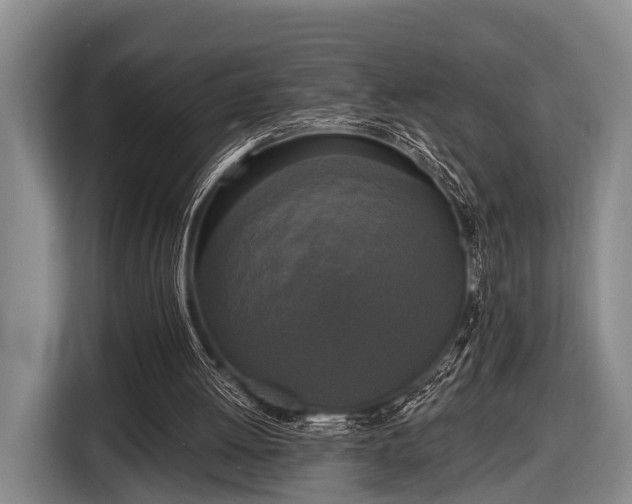 X0000116850052200912291248