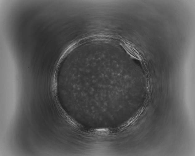 X0000116850053200912291248