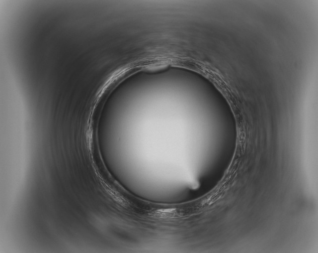 X0000116850054200912291248