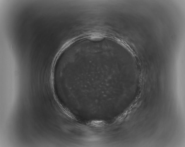 X0000116850055200912291248