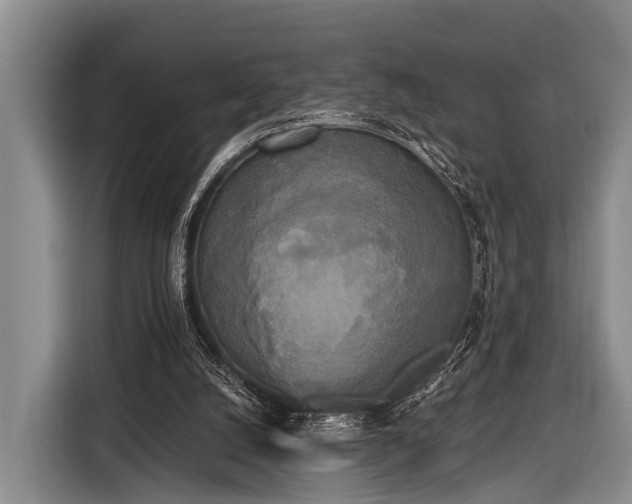 X0000116850056200912291248