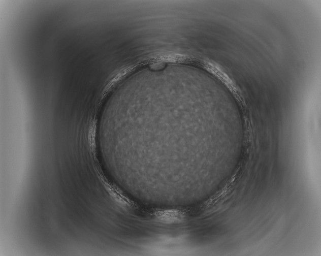 X0000116850058200912291248
