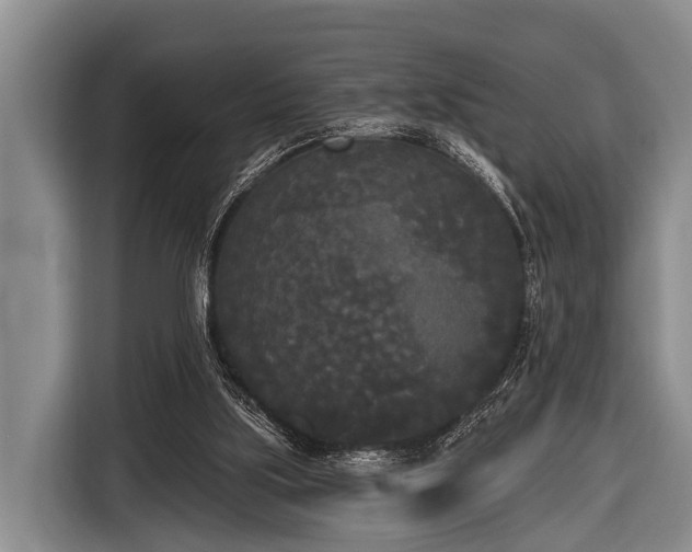 X0000116850059200912291248