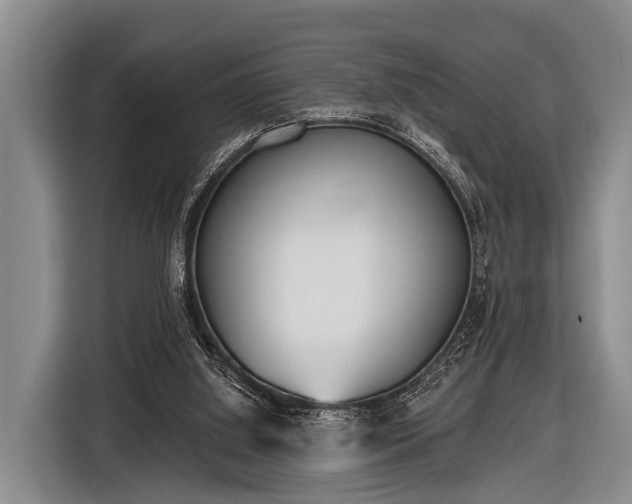 X0000116850060200912291248