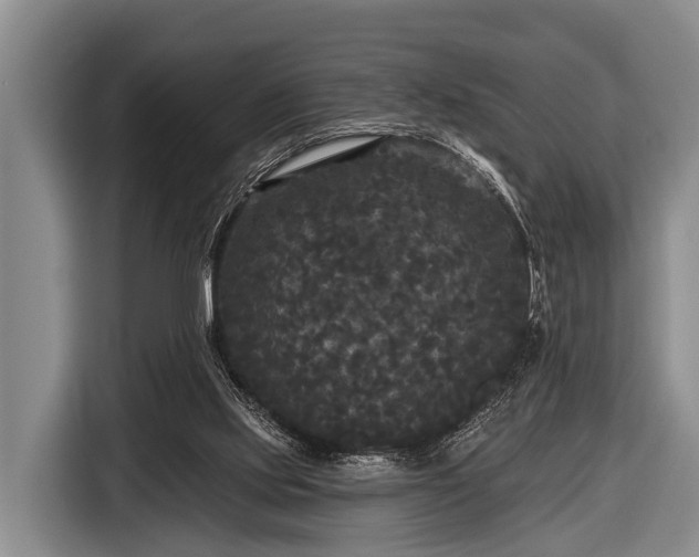 X0000116850061200912291248