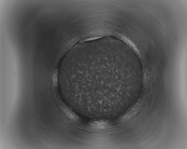 X0000116850065200912291248
