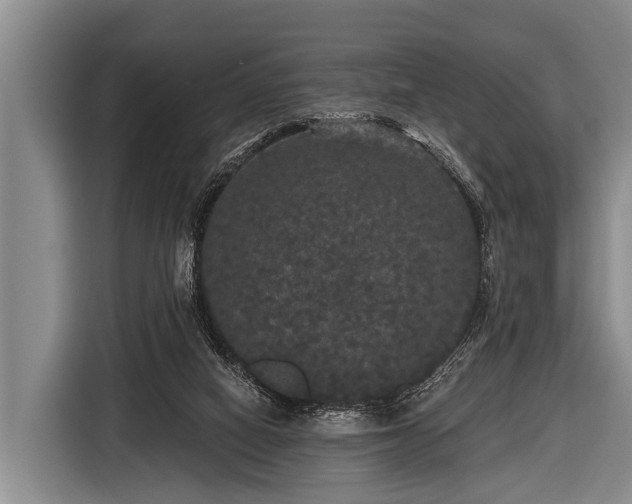 X0000116850066200912291248
