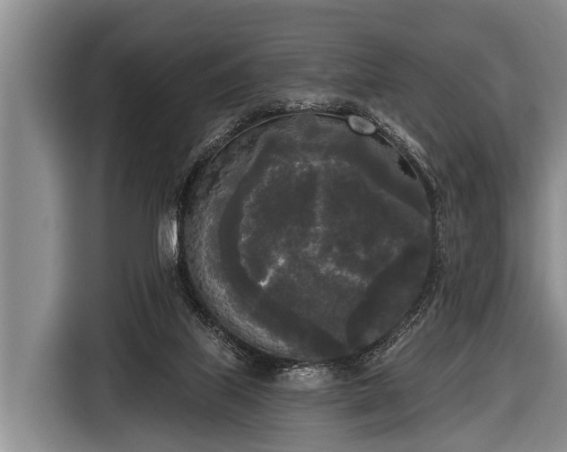 X0000116850067200912291248