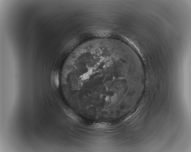 X0000116850069200912291248