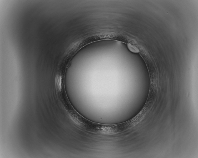 X0000116850070200912291248