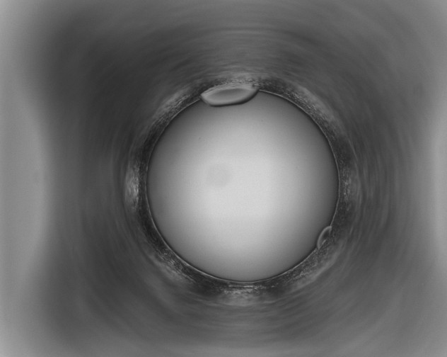 X0000116850072200912291248