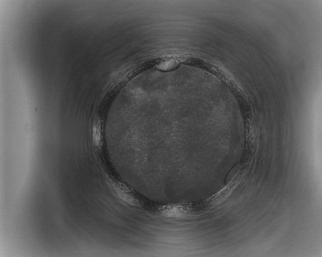X0000116850074200912291248