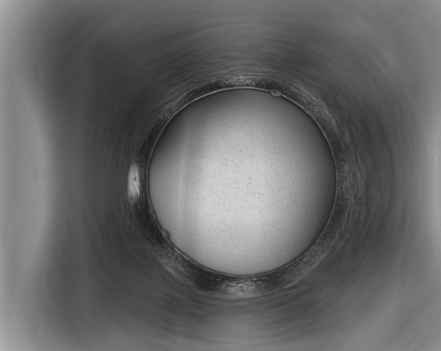 X0000116850075200912291248