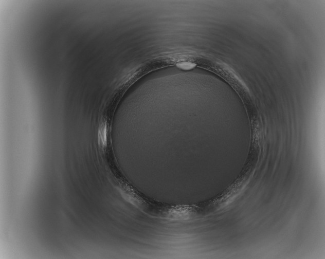 X0000116850076200912291248