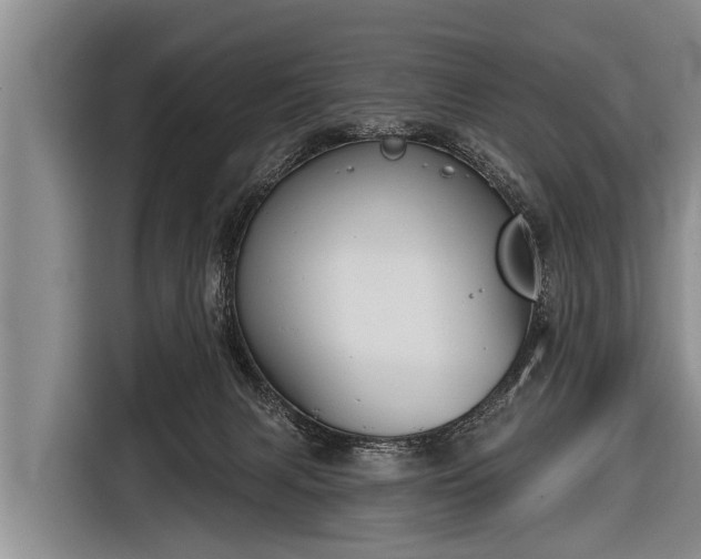 X0000116850079200912291248