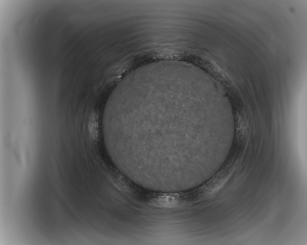 X0000116850080200912291248
