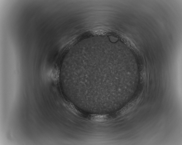X0000116850081200912291248