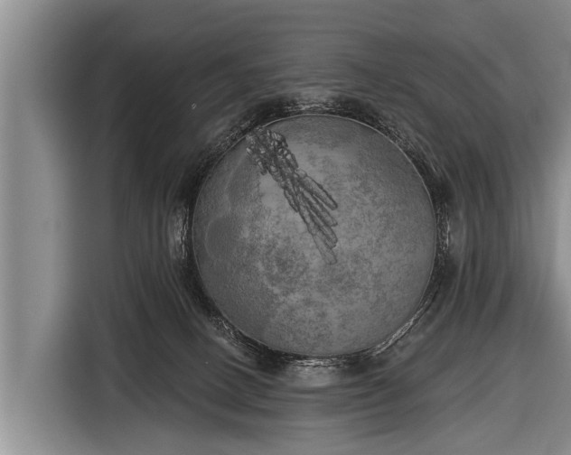 X0000116850082200912291248