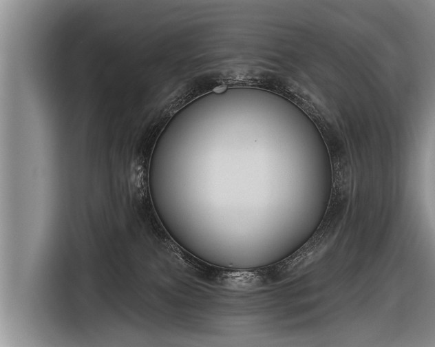 X0000116850087200912291248